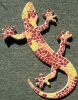 DECORATION LEZARD Brique
