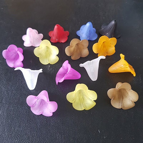 15 Fleurs Lucites Arums assortis