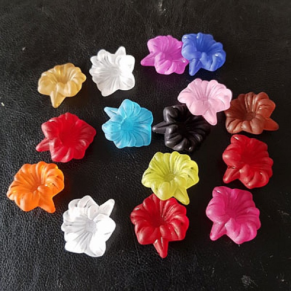 15 Fleurs Orchid&eacute;e assortis