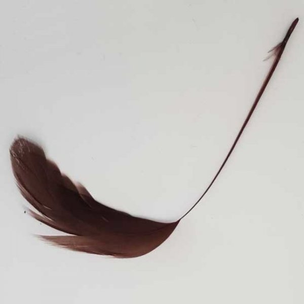 Plume 16 cm N&deg;05 Marron