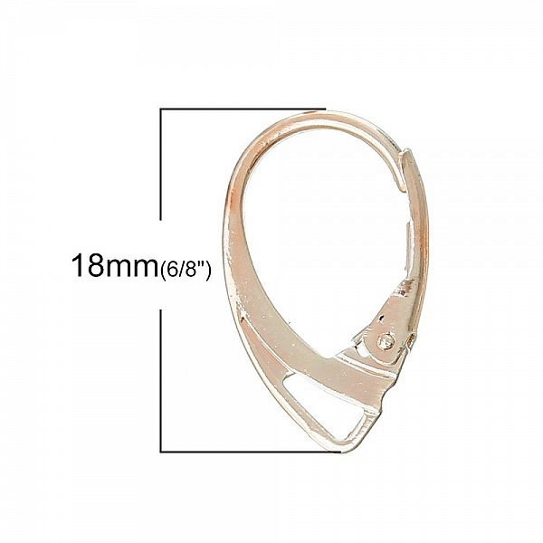 Support Boucle d'oreille Dormeuse N&deg;07 x 5 Paires