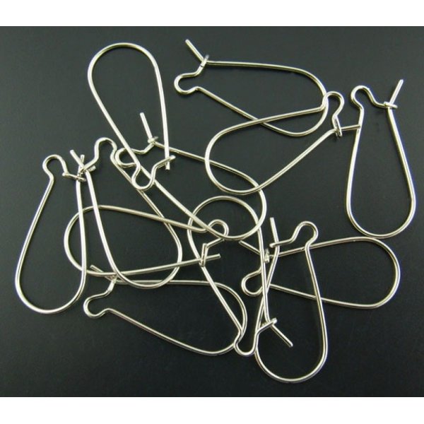 Support Boucle d'oreille Dormeuse 25mm N&deg;06 x 10 Paires