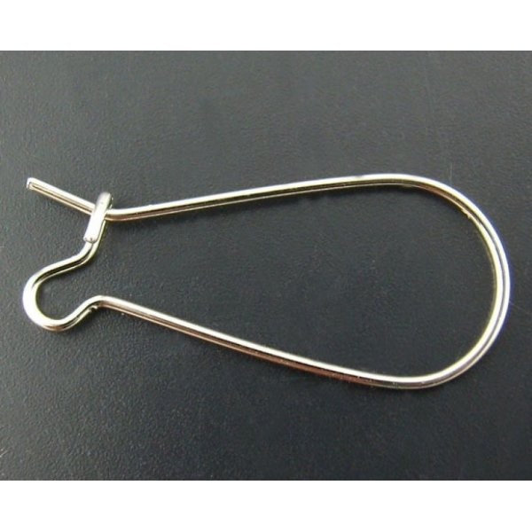 Support Boucle d'oreille Dormeuse 25mm N&deg;06 x 40 Paires