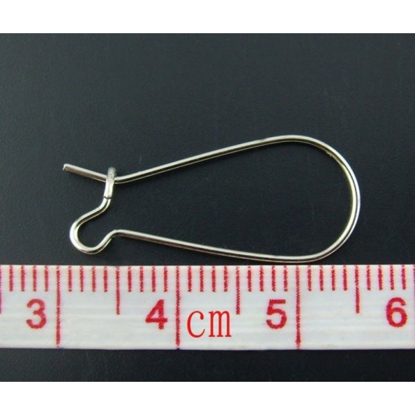 Support Boucle d'oreille Dormeuse 25mm N&deg;06 x 40 Paires