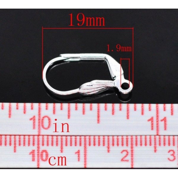 Support Boucle d'oreille Dormeuse N&deg;08 x 5 Paires