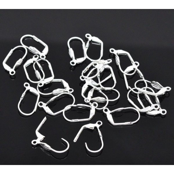 Support Boucle d'oreille Dormeuse N&deg;08 x 5 Paires