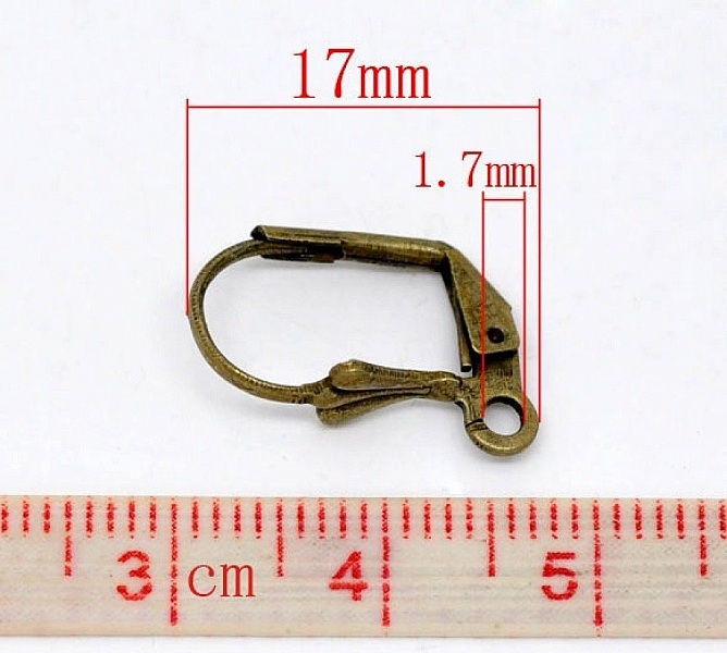 Support Boucle d'oreille Dormeuse N&deg;09 x 5 Paires