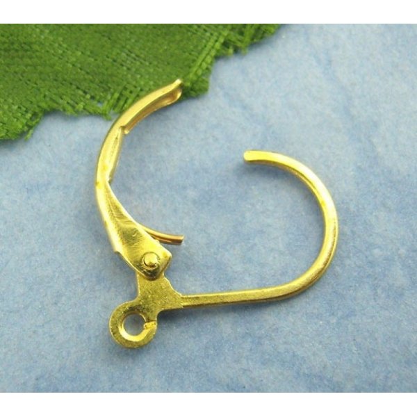 Support Boucle d'oreille Dormeuse N&deg;14 x 5 Paires