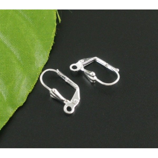 Support Boucle d'oreille Dormeuse N&deg;20 x 5 Paires