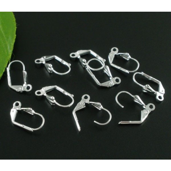 Support Boucle d'oreille Dormeuse N&deg;20 x 5 Paires