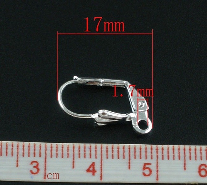 Support Boucle d'oreille Dormeuse N&deg;20 x 10 Paires