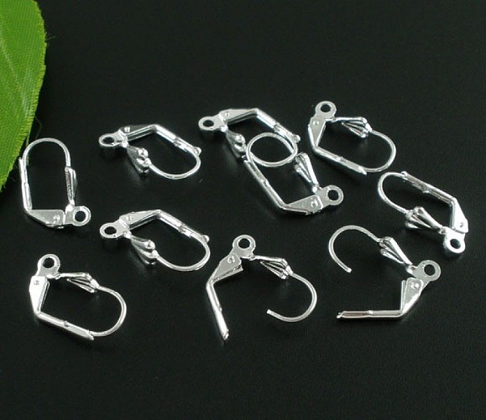 Support Boucle d'oreille Dormeuse N&deg;20 x 10 Paires