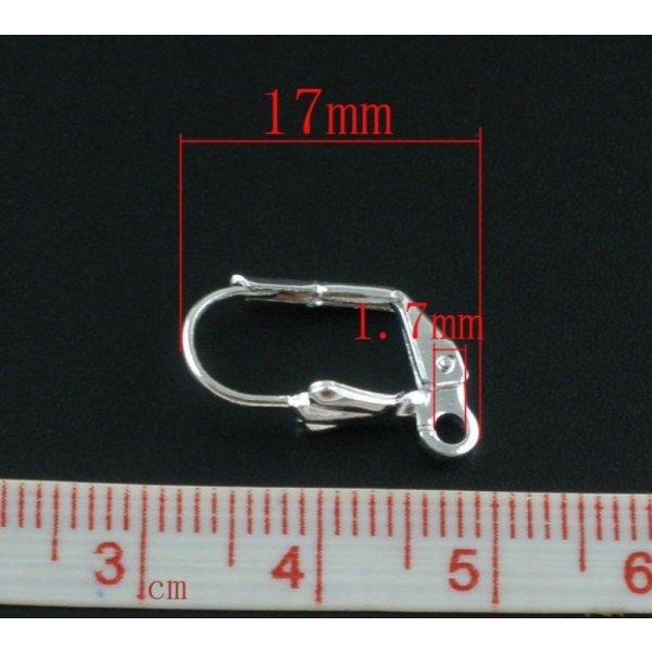 Support Boucle d'oreille Dormeuse N&deg;20 x 25 Paires