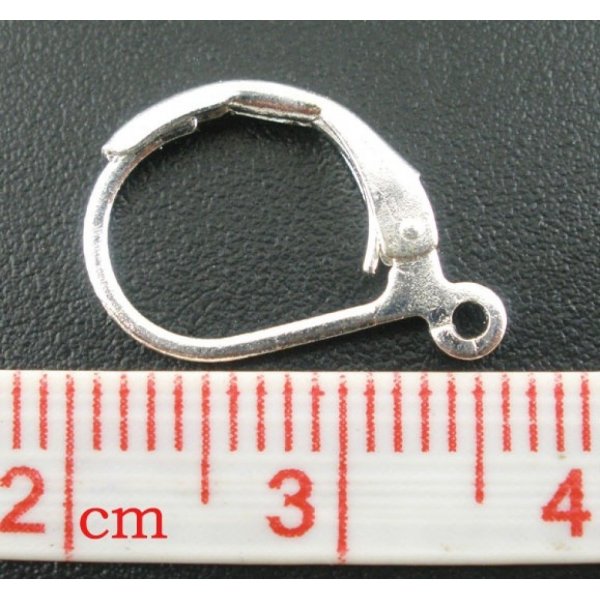 Support Boucle d'oreille Dormeuse N&deg;22 x 10 Paires