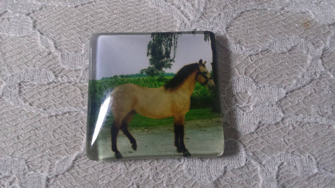 cabochon carr&eacute; en verre 30mm 007 