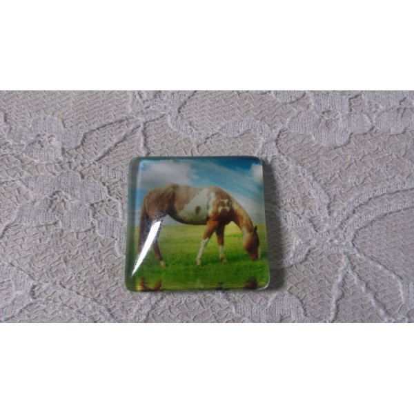 cabochon carr&eacute; en verre 30mm 001 