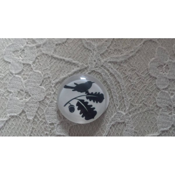 cabochon rond en verre 10mm oiseaux 017 