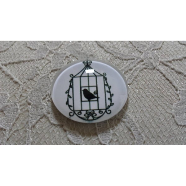cabochon rond en verre 25mm oiseaux 023 