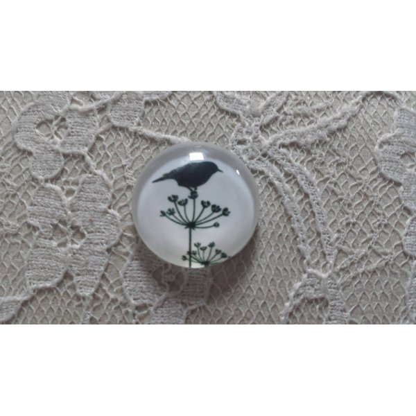 cabochon rond en verre 20mm oiseaux 019 