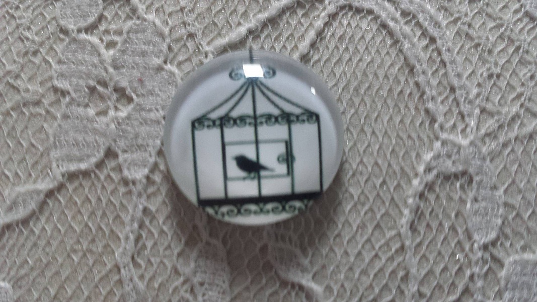 cabochon rond en verre 20mm oiseaux 010 