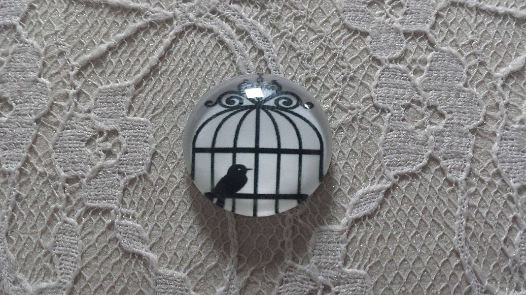 cabochon rond en verre 20mm oiseaux 007 