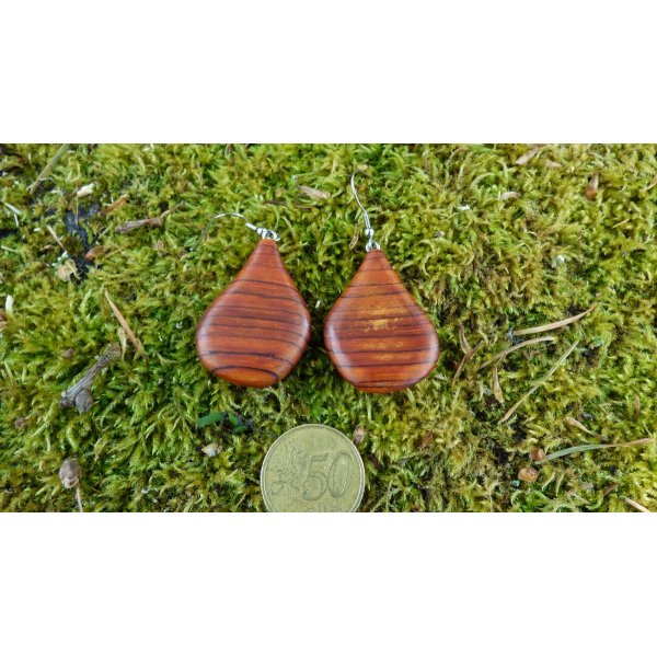 Boucles d'oreilles en bois précieux