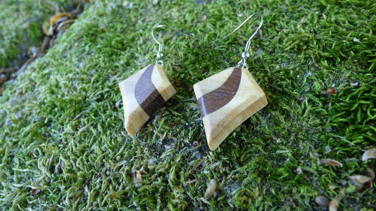 Boucles d'oreilles avec 2 essences de bois précieux