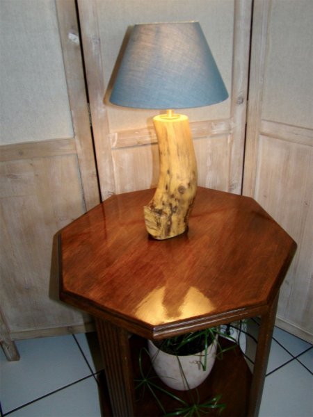 Lampe For&ecirc;t, la nature et ses merveilles 