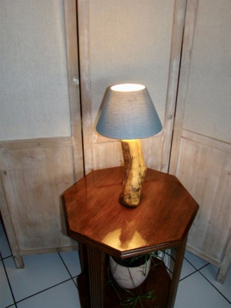 Lampe For&ecirc;t, la nature et ses merveilles 