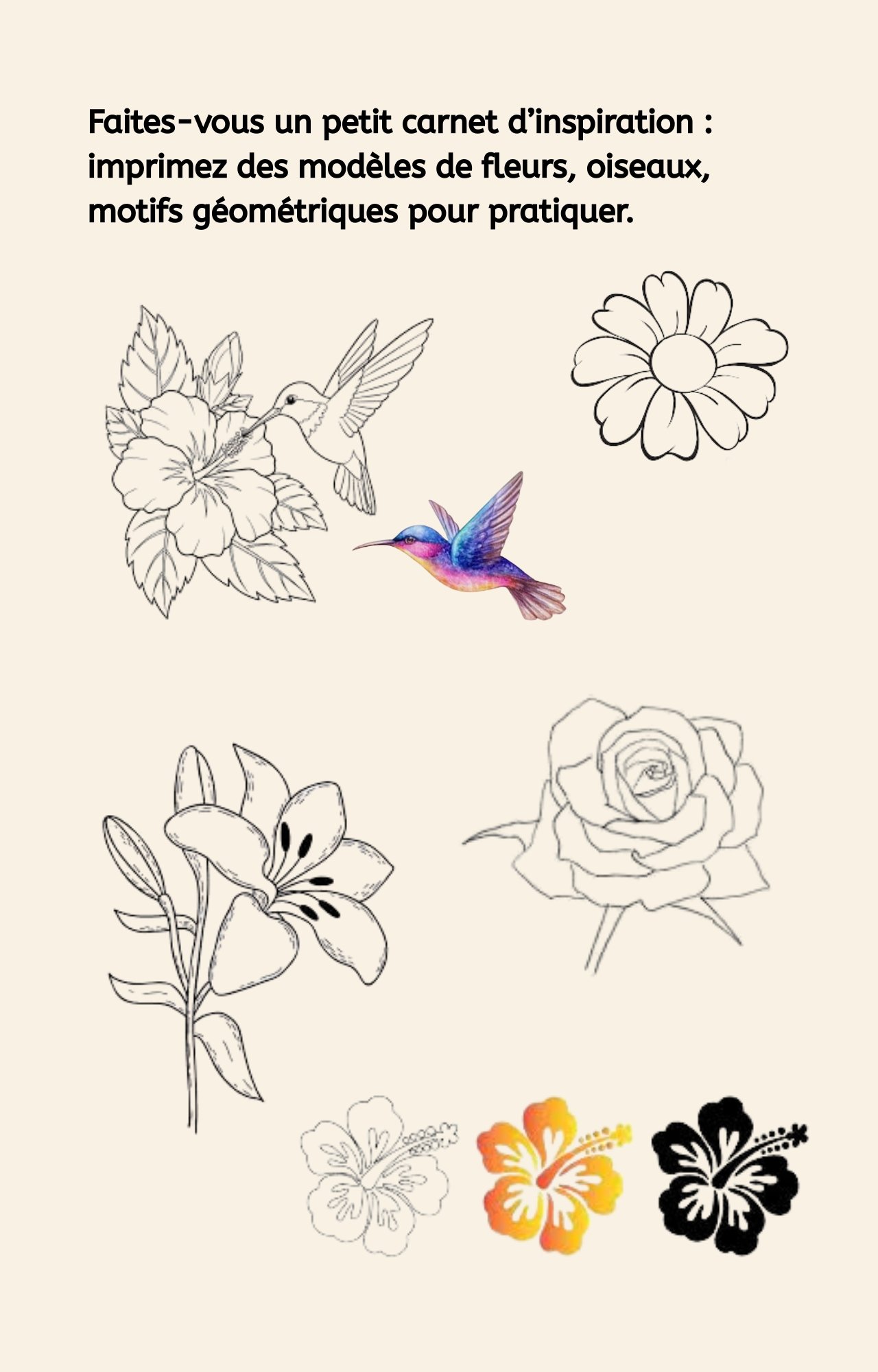 Guide complet et inspirant pour d&eacute;butants et passionn&eacute;s. Peindre sur &eacute;ventails