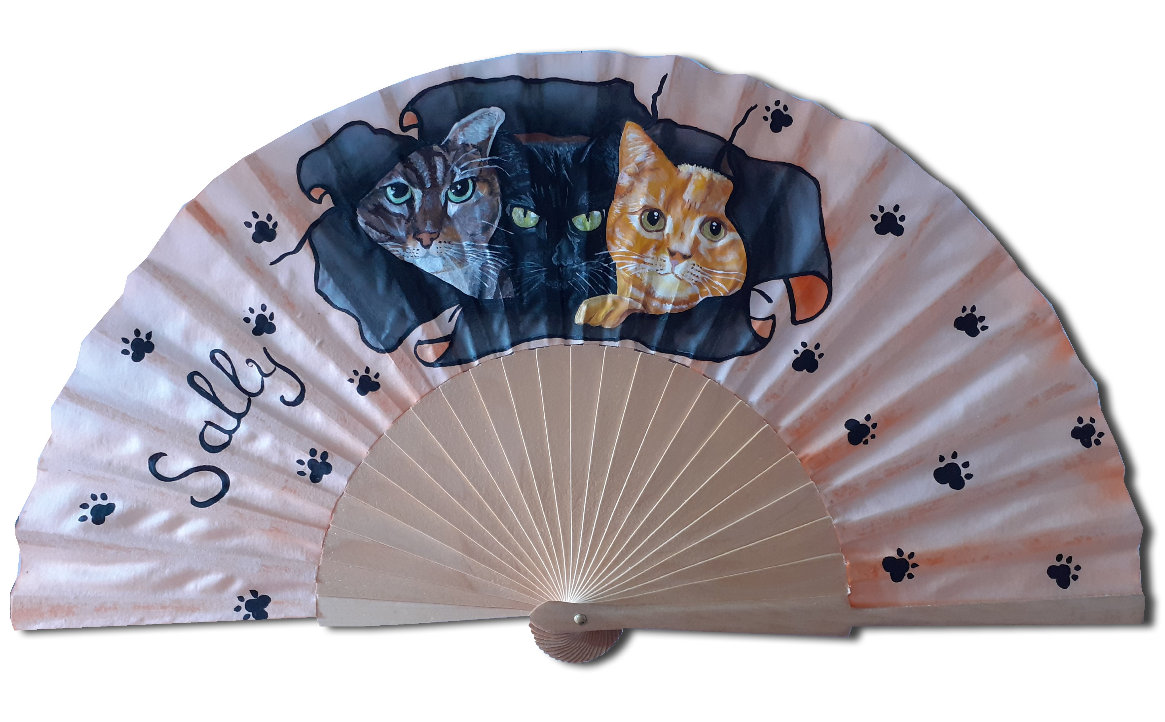 Une photo, votre &eacute;ventail, celui l&agrave; est en soie