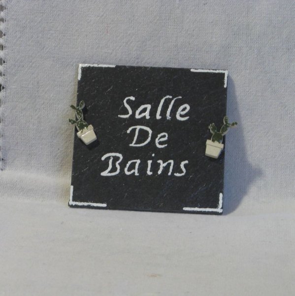 Plaque de Porte "Salle de Bains" en Ardoise Emaillée Motif Cactus a poser Sans Trou, Création originale