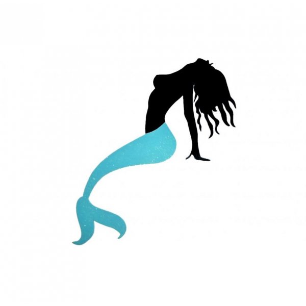 Pancarte mural ou de porte en bois model :sir&egrave;ne bicolore a  paillette 24x53 cm 