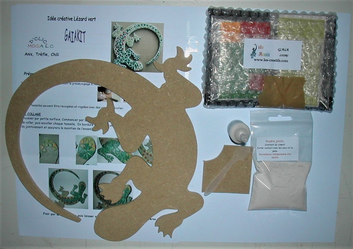 DIY Coffret création- Kit mosaïque "lézard vert"