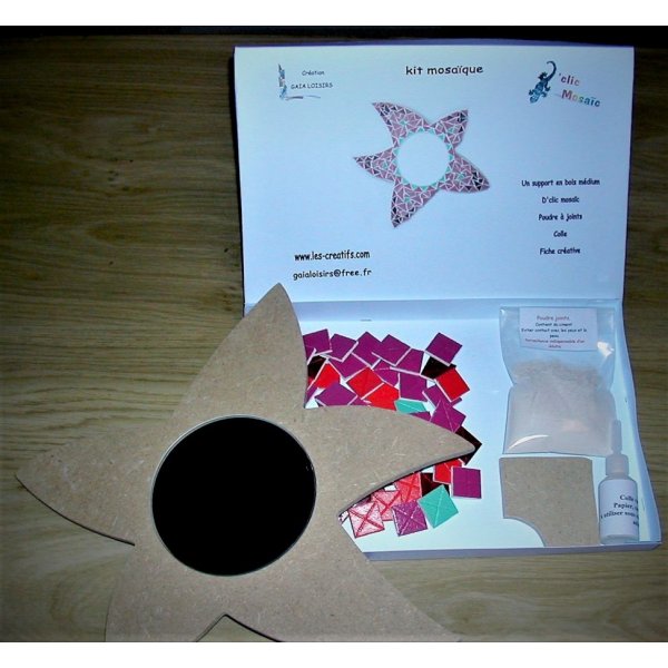 Coffret création Kit mosaïque "MIROIR ETOILE DE MER FRAMBOISE"